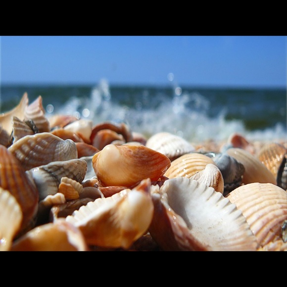 NEW FOLLOWING GAME!!! - Picture 4 of 4